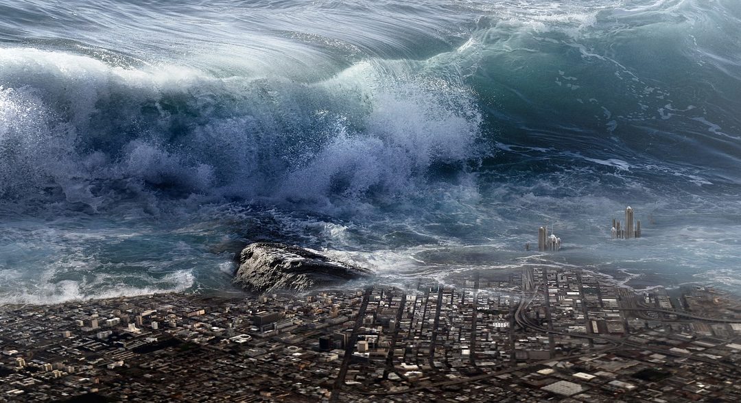 Stocks To Own During A Tsunami